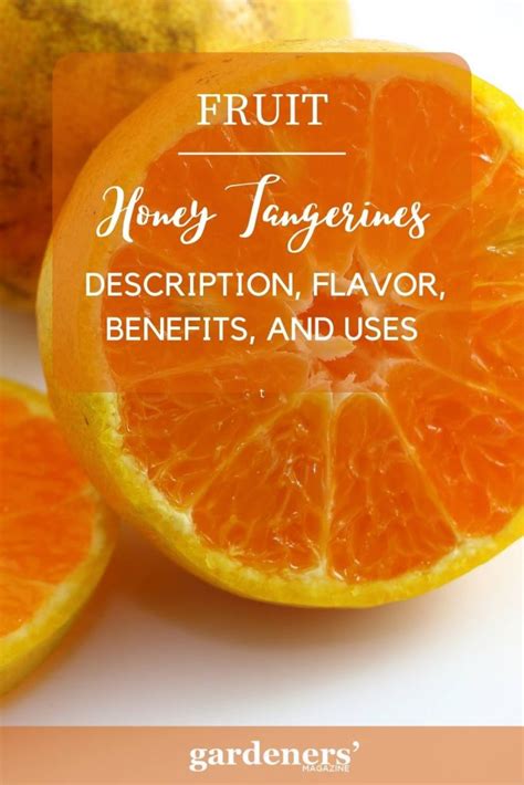 autumn honey tangerine|honey tangerine meaning.